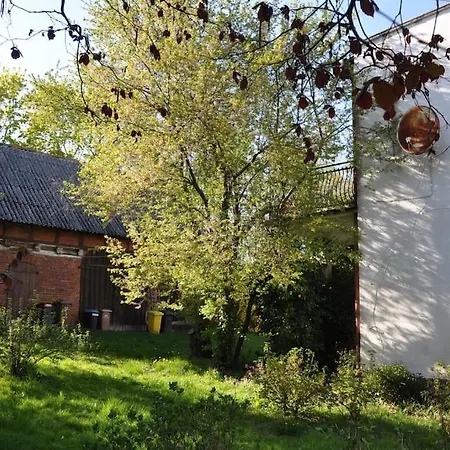 Udany - Krokowa Διαμέρισμα Goszczyno