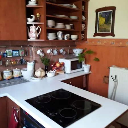Udany - Krokowa Apartment